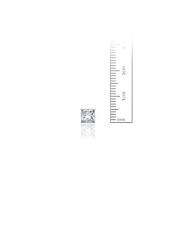 14K White Gold 5MM Square CZ Screwback Stud Earrings><noscript><img width=