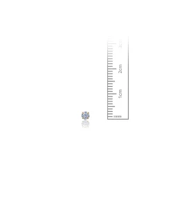 14K Yellow Gold 3MM Round CZ Pushback Stud Earrings>Isaac Mizrahi Flash Sale