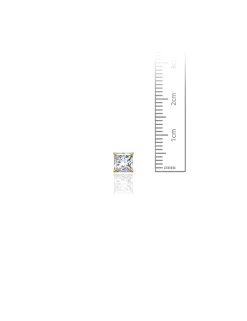 14K Yellow Gold 5MM Square CZ Pushback Stud Earrings>Isaac Mizrahi Online